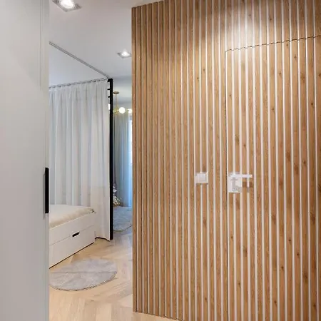 Luxury Modern Warsaw